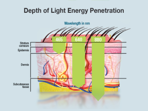 Light_Penetration